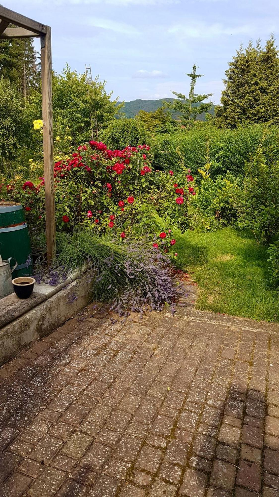 Ferienwohnung Kespergarten Witzenhausen Extérieur photo